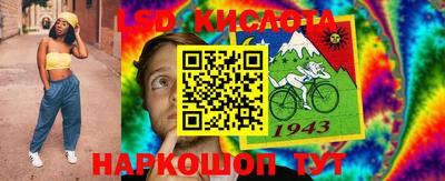 гашик Новокубанск