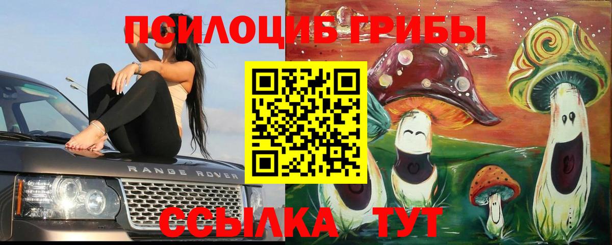 Псилоцибиновые грибы GOLDEN TEACHER  купить наркоту  Советский  Вход с VPN  Галлюциногенные грибы мухоморы 